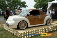 BEETLE (22)